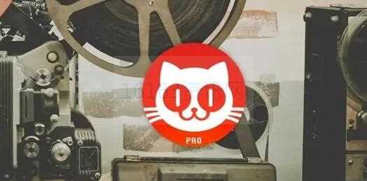 猫眼电影如何删除观影记录