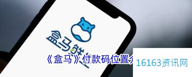 盒马app付款码在哪里里