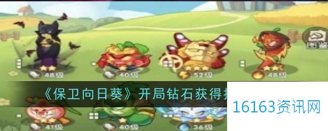 保卫向日葵开局钻石得到技术指的是什么