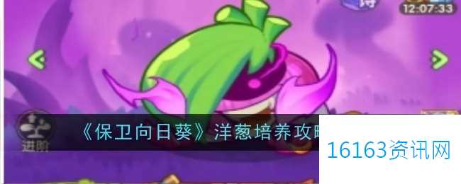 保卫向日葵洋葱养成攻略指的是什么