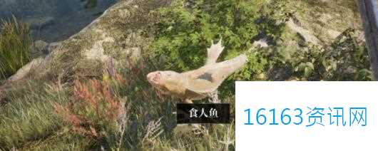 上古卷轴4湮灭重制版哪些任务要避坑