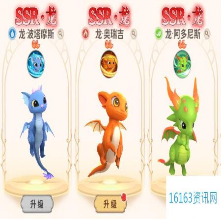 龙骑士学园宠物养成攻略